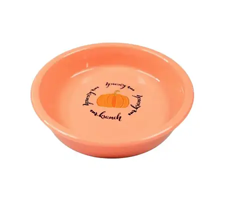 Купить mr.kranch миска керамическая для кошек, Тыква персиковая